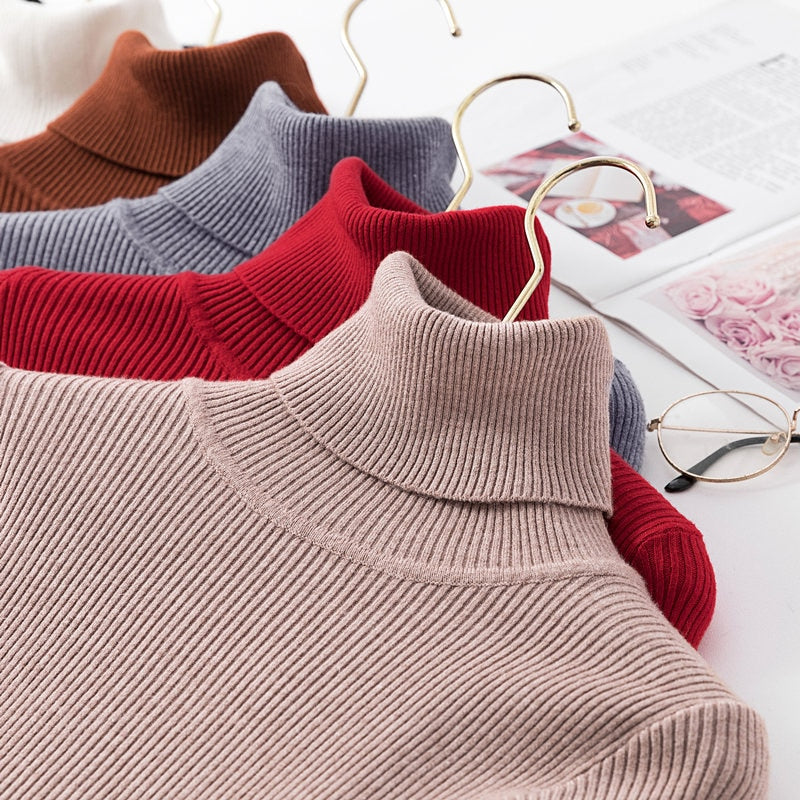 Knitted Turtleneck Sweater - Veloristore
