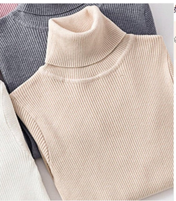 Knitted Turtleneck Sweater - Veloristore