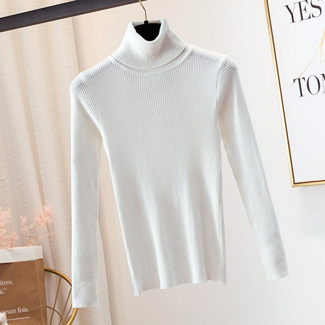 Knitted Turtleneck Sweater - Veloristore